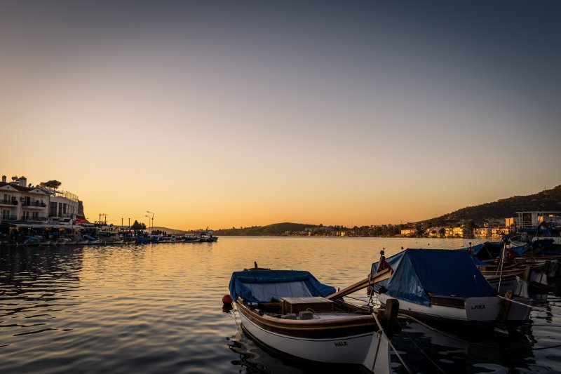 Fotoğraf