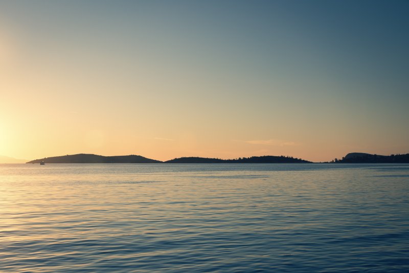 Fotoğraf
