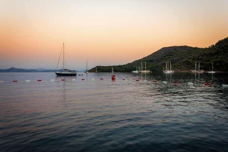 Fotoğraf