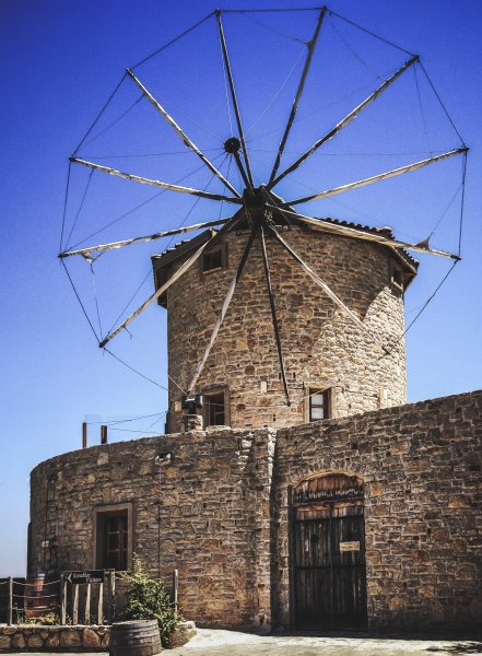 Fotoğraf
