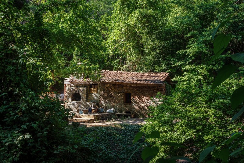 Fotoğraf