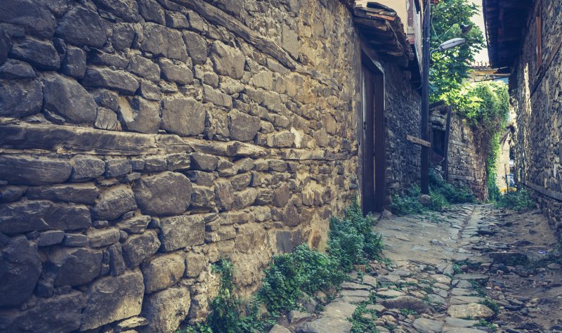 Fotoğraf
