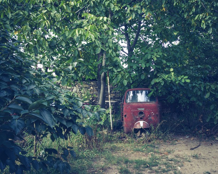 Fotoğraf