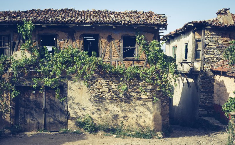 Fotoğraf