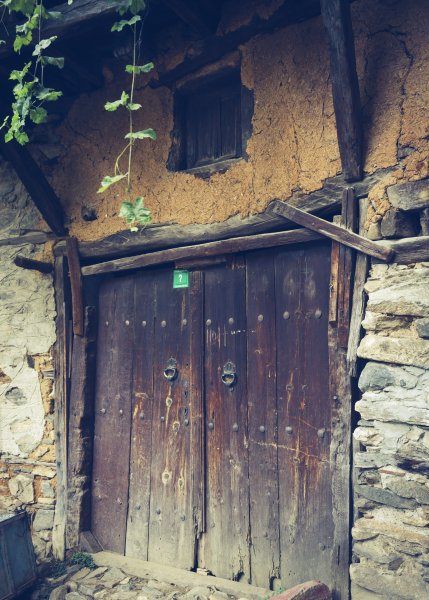 Fotoğraf