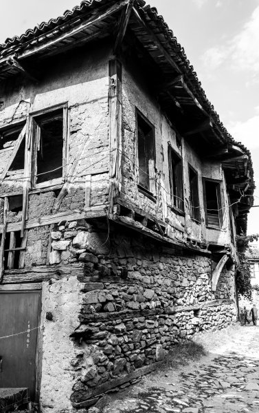 Fotoğraf