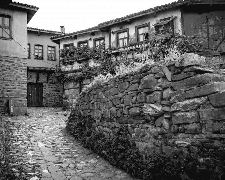 Fotoğraf