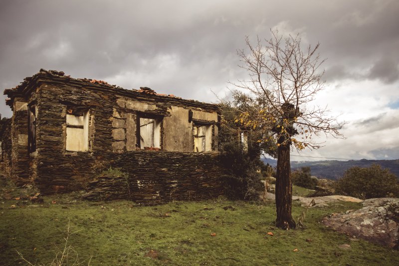 Fotoğraf