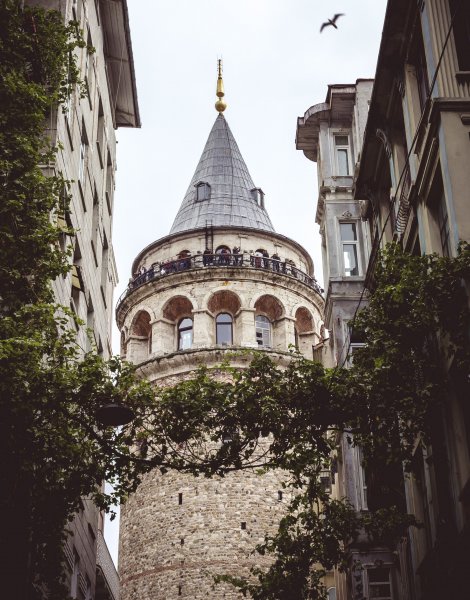 Fotoğraf