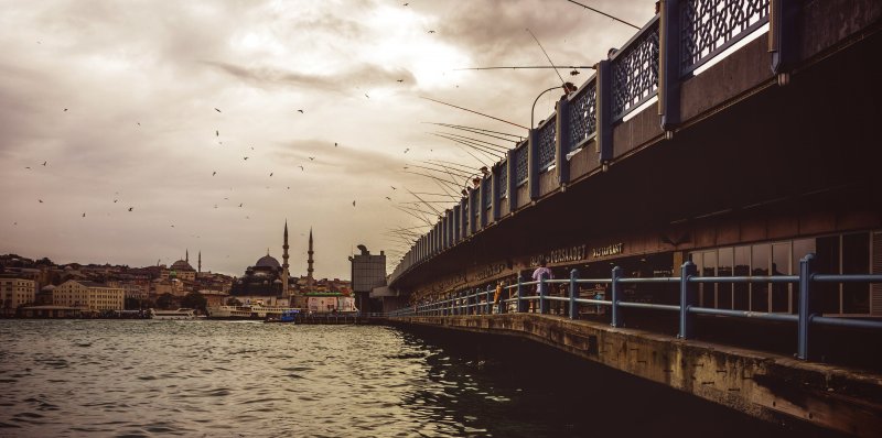 Fotoğraf