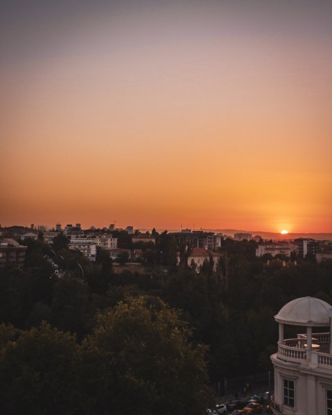 Fotoğraf