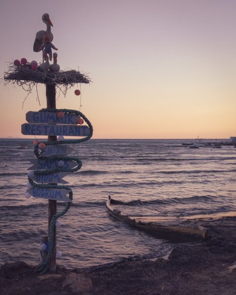 Fotoğraf