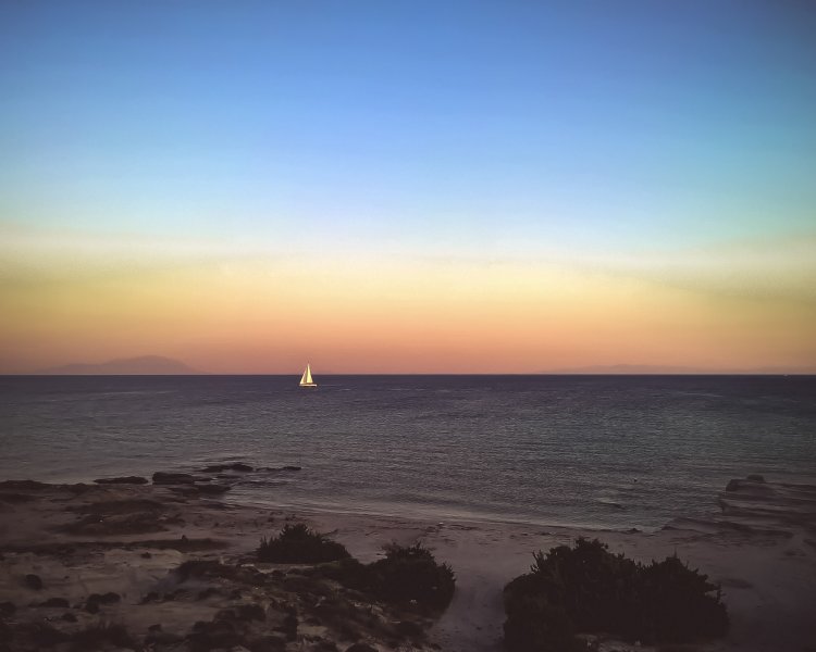 Fotoğraf