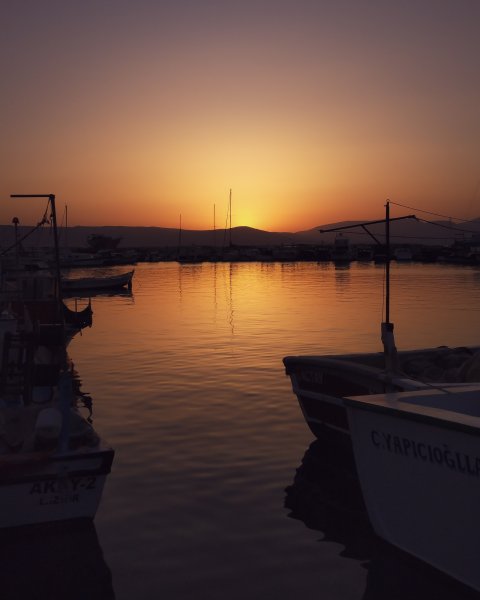 Fotoğraf